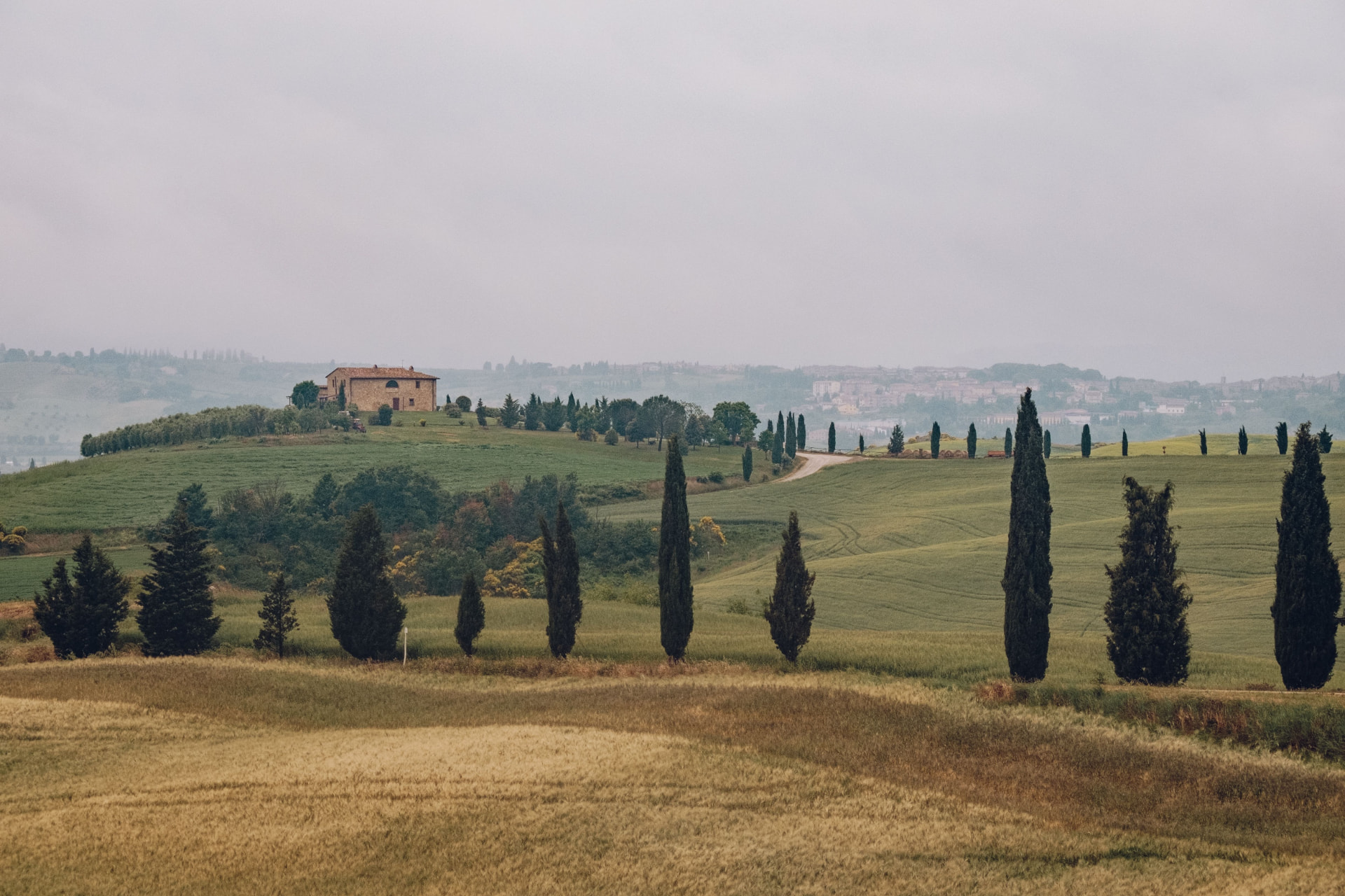 Tuscan hills with cypress trees and a stone farmhouse